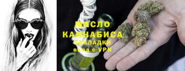 крисы Надым