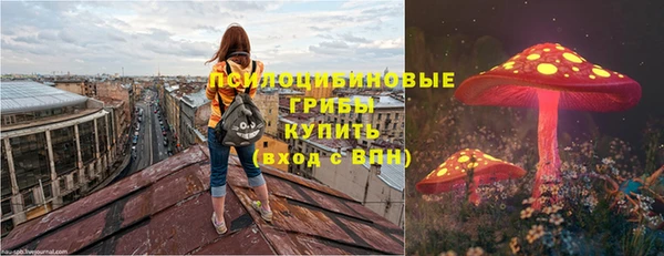 мяу мяу мука Михайловск