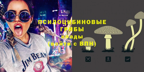 крисы Надым