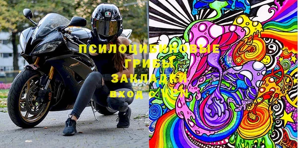 крисы Надым
